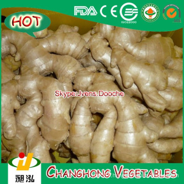 China Air Dried Ginger Lowest Price